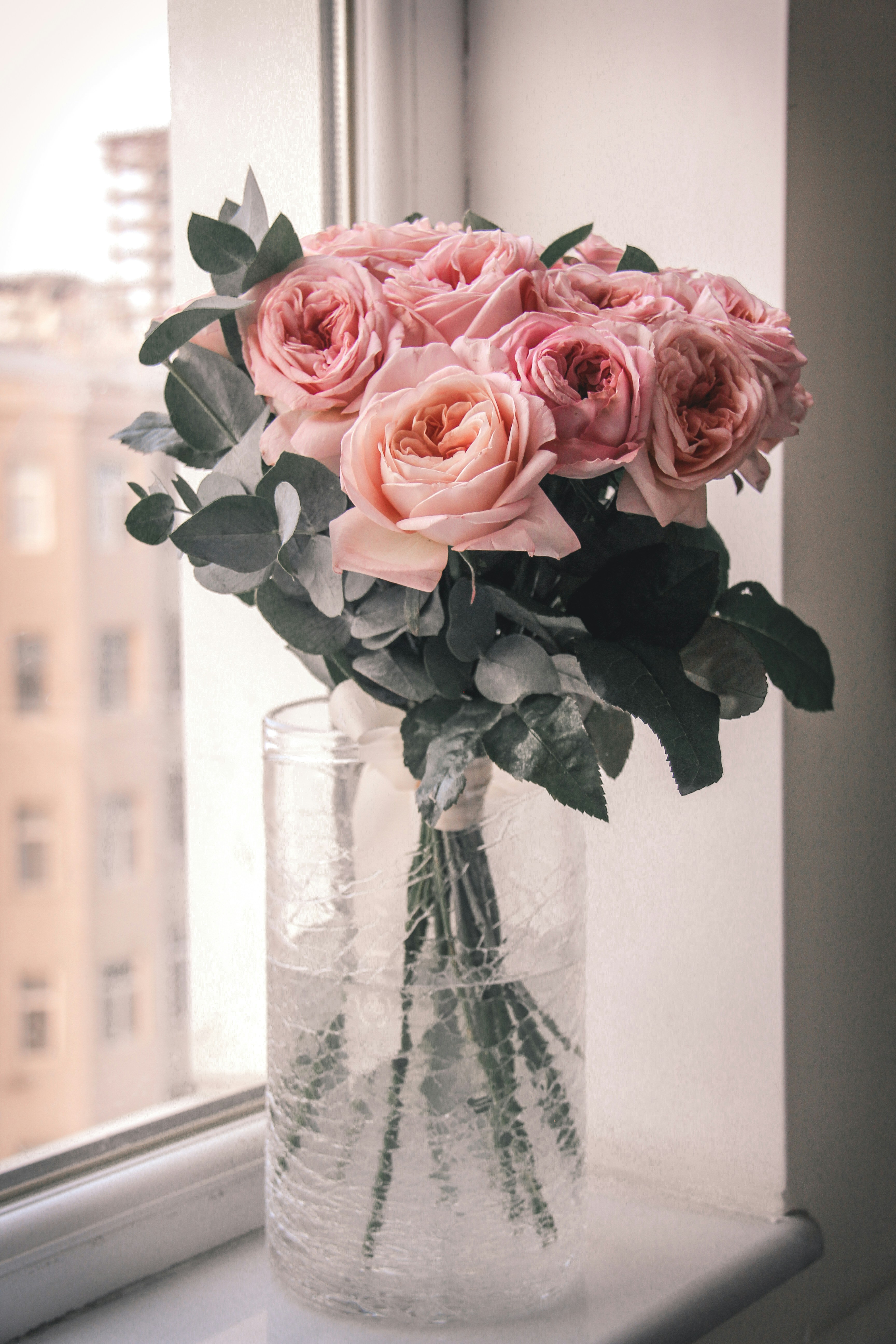 Roses